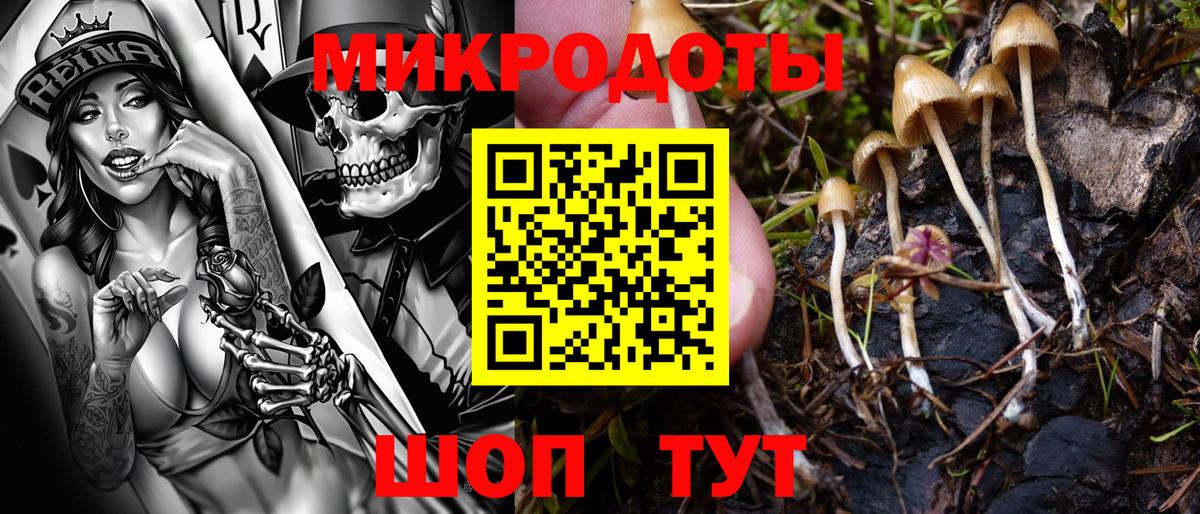 Псилоцибиновые грибы ЛСД  Галлюциногенные грибы MAGIC MUSHROOMS  Добрянка  Вход с VPN 